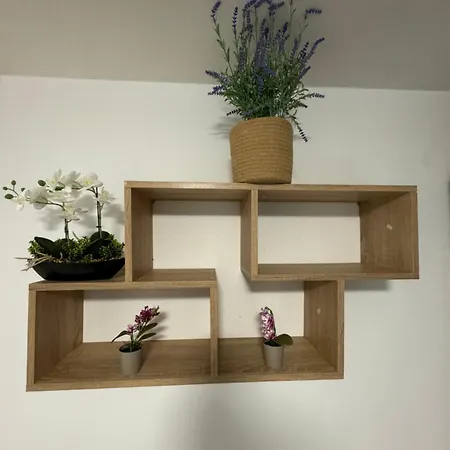 за възраждане דירה בורגאס